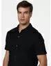 imagem do produto Camisa Malho Palmeira
