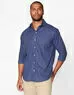 imagem do produto Camisa Oxford Pointed Stripes
