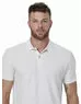 imagem do produto Polo Piquet Linho