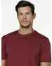 imagem do produto T-Shirt Pima Colors In