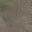 Musgo Stamp